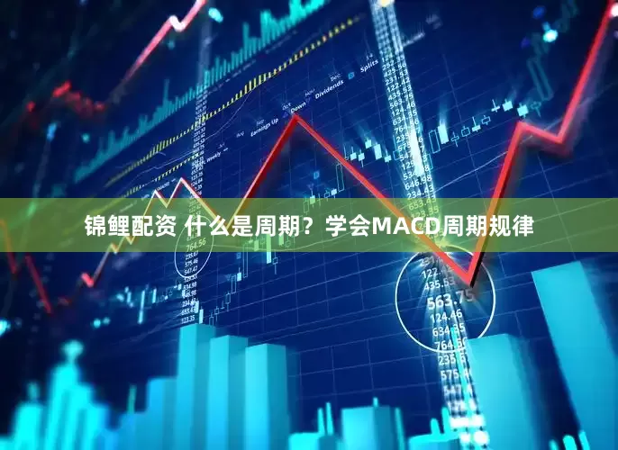 锦鲤配资 什么是周期？学会MACD周期规律